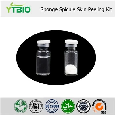 Sponge Spicules terini tozalash